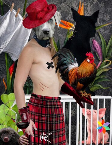 Gallus Gallus